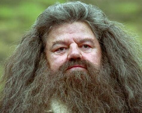Rubeus Hagrid e1665767658161 POP CYBER