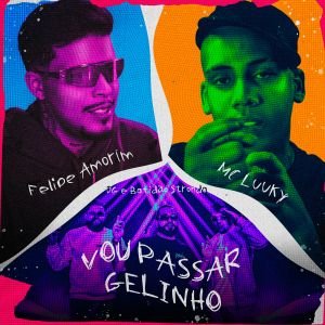 MC Luuky se une a Felipe Amorim para apresentar a faixa 22Vou Passar Gelinho22 com producao de DG e Batidao Stronda POP CYBER