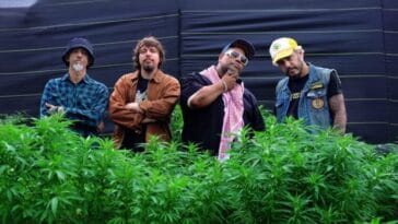 Planet Hemp lanca videoclipe gravado em fazenda de maconha no Brasil scaled POP CYBER