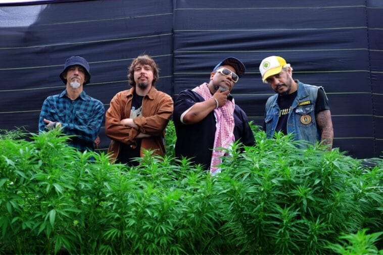 Planet Hemp lanca videoclipe gravado em fazenda de maconha no Brasil scaled POP CYBER