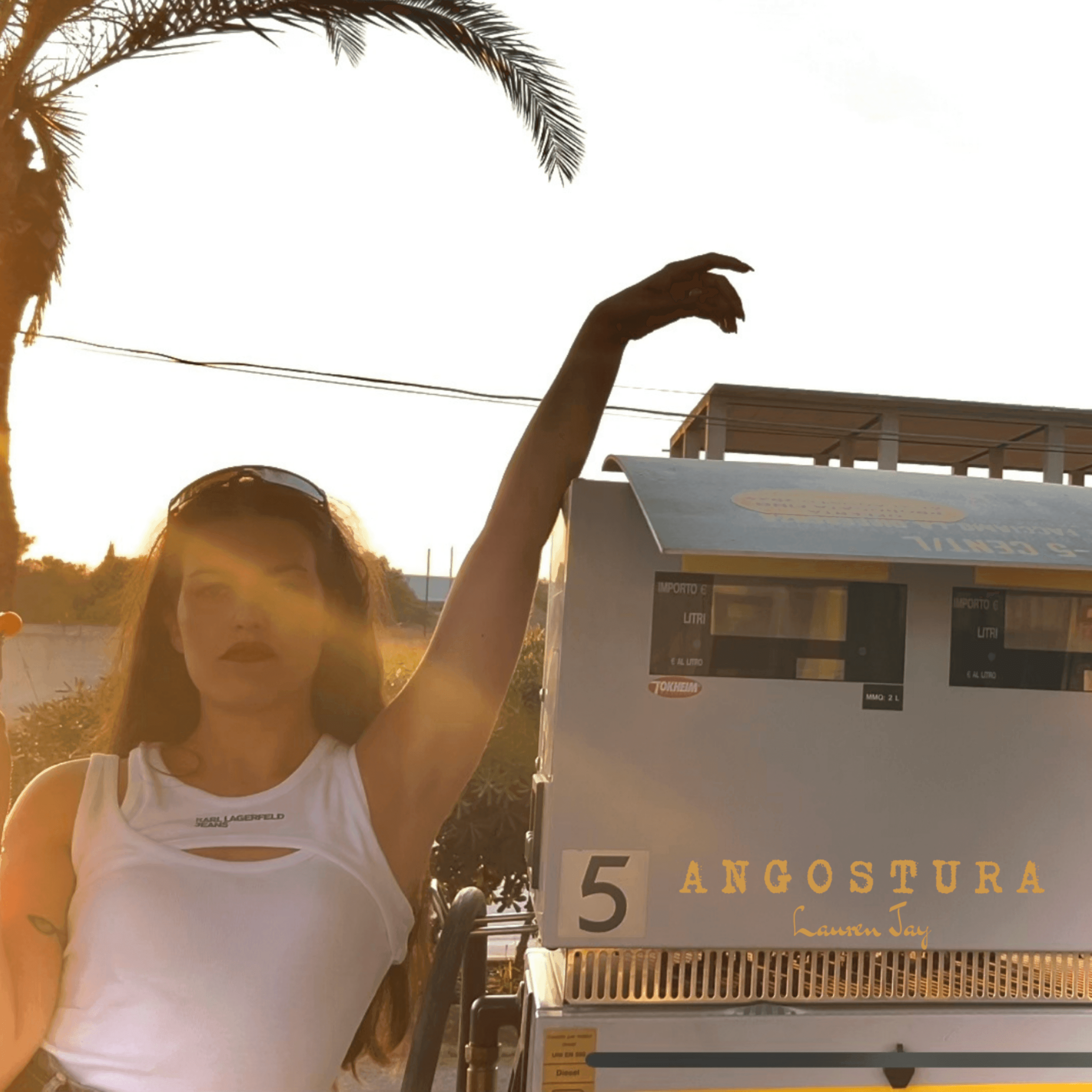prod_track-files_964015_album_cover_Lauren-Jay-angostura-album_cover