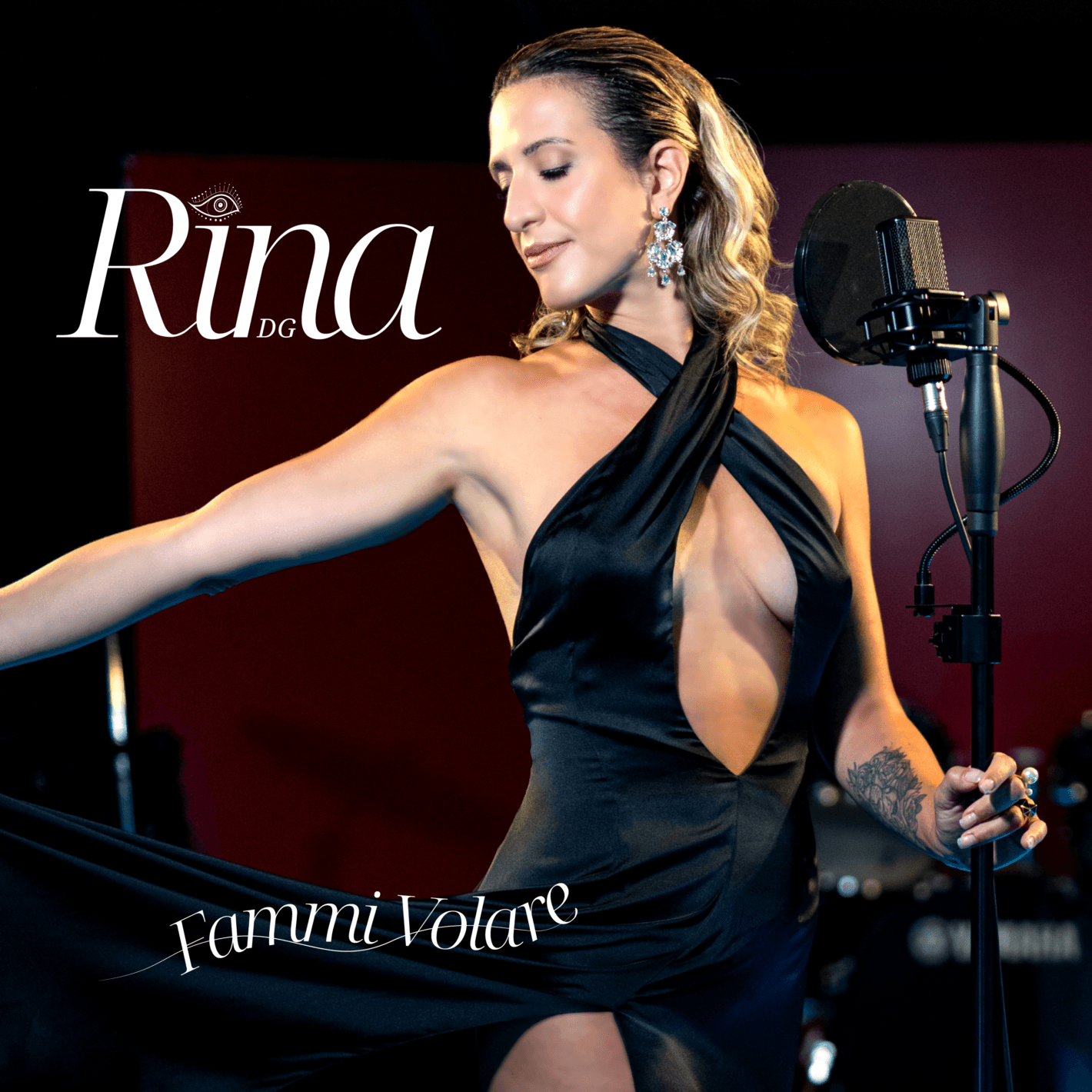 prod_track-files_1015283_album_cover_Rina-DG-fammi-volare-album_cover