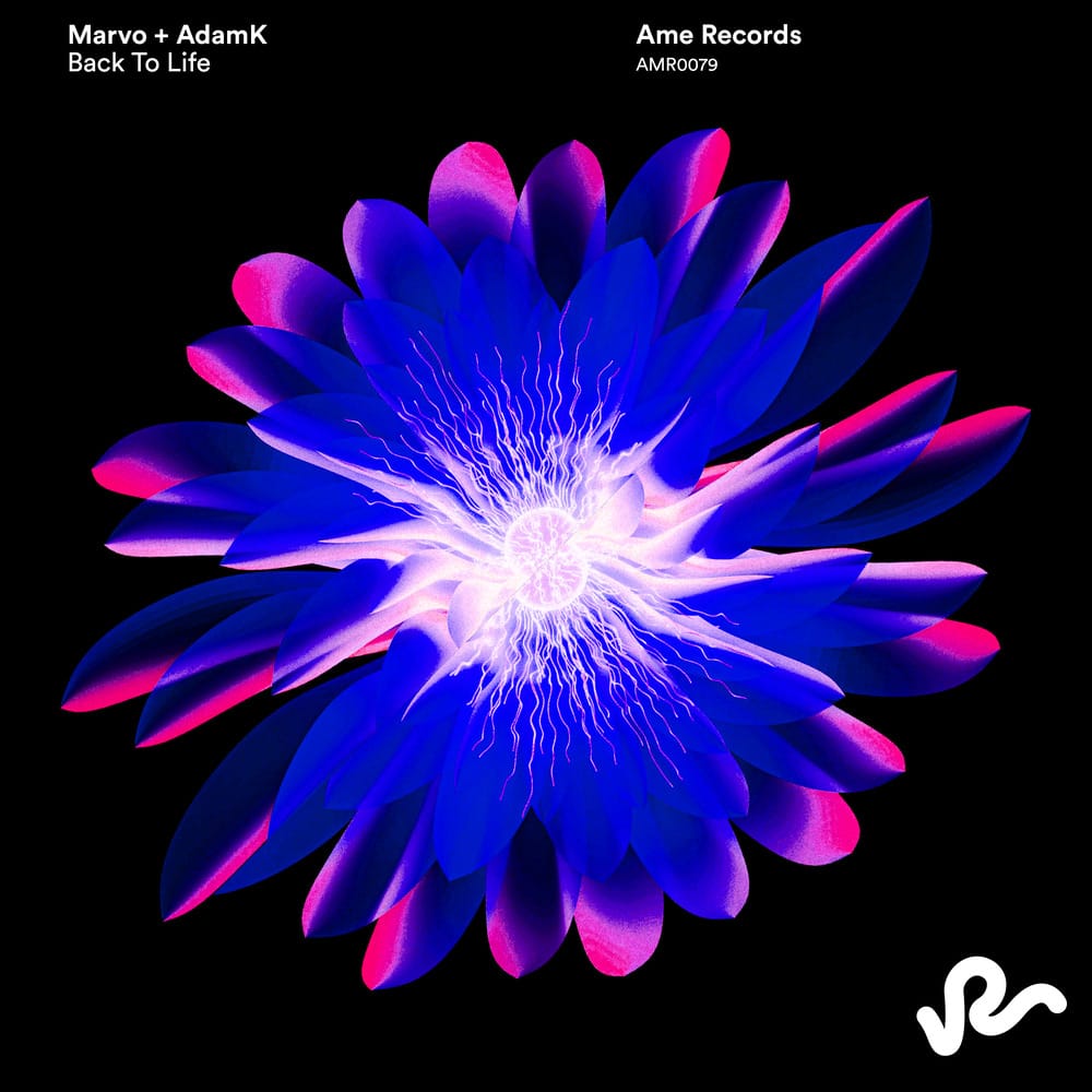 AdamK e Marvo lançam “Back to Life” pela Ame Records