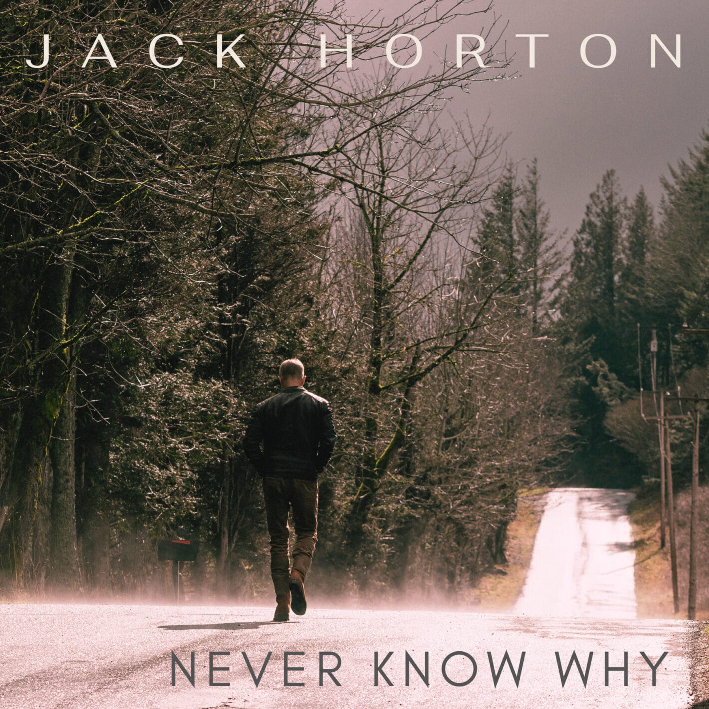 prod_track-files_1314956_album_cover_Jack-Horton-never-know-why-feat-vesper-stockwell-album_cover