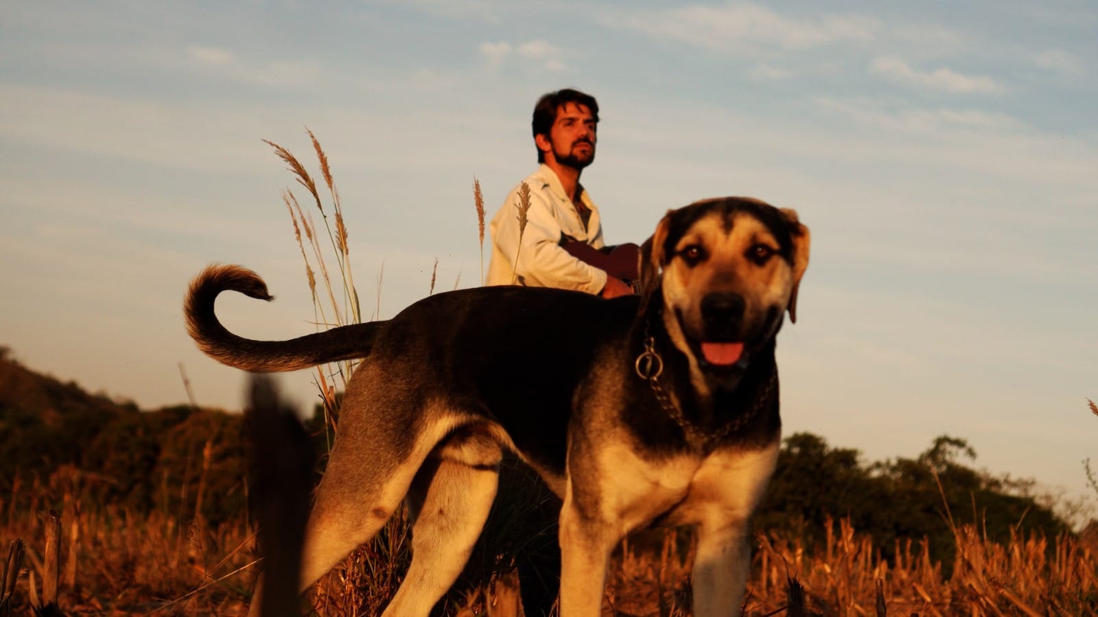 Dia Mundial do Cachorro ganha trilha sonora com lançamento de Gabriel Gonti