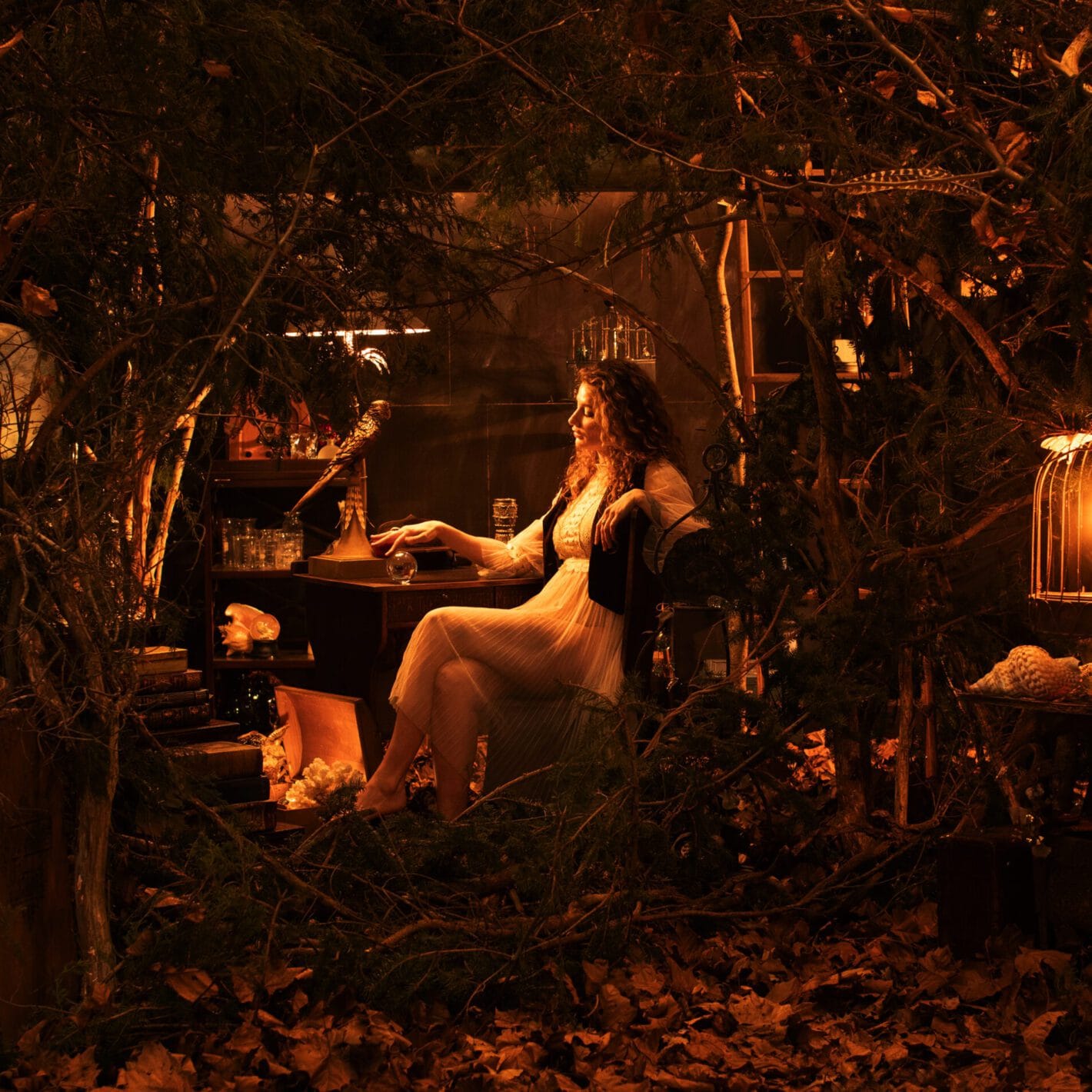 prod_track-files_1374622_album_cover_Night-Teacher-never-better-album_cover