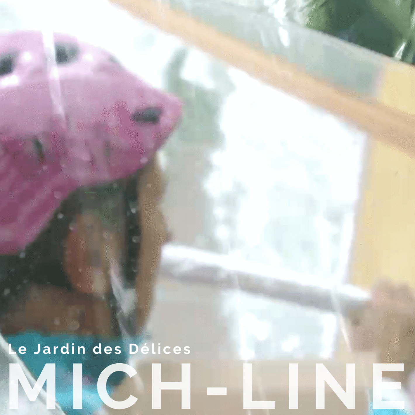 Mich-Line apresenta prod_track-files_1402646_album_cover_MichLine-le-jardin-des-dlices-album_cover