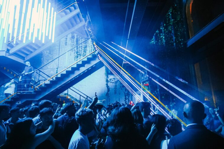 Cat Dealers, Cocada Music, Manda Moor, Sirus Hood, Technasia e Traumer fecham 2025 do D-EDGE Rio 2 Cat Dealers