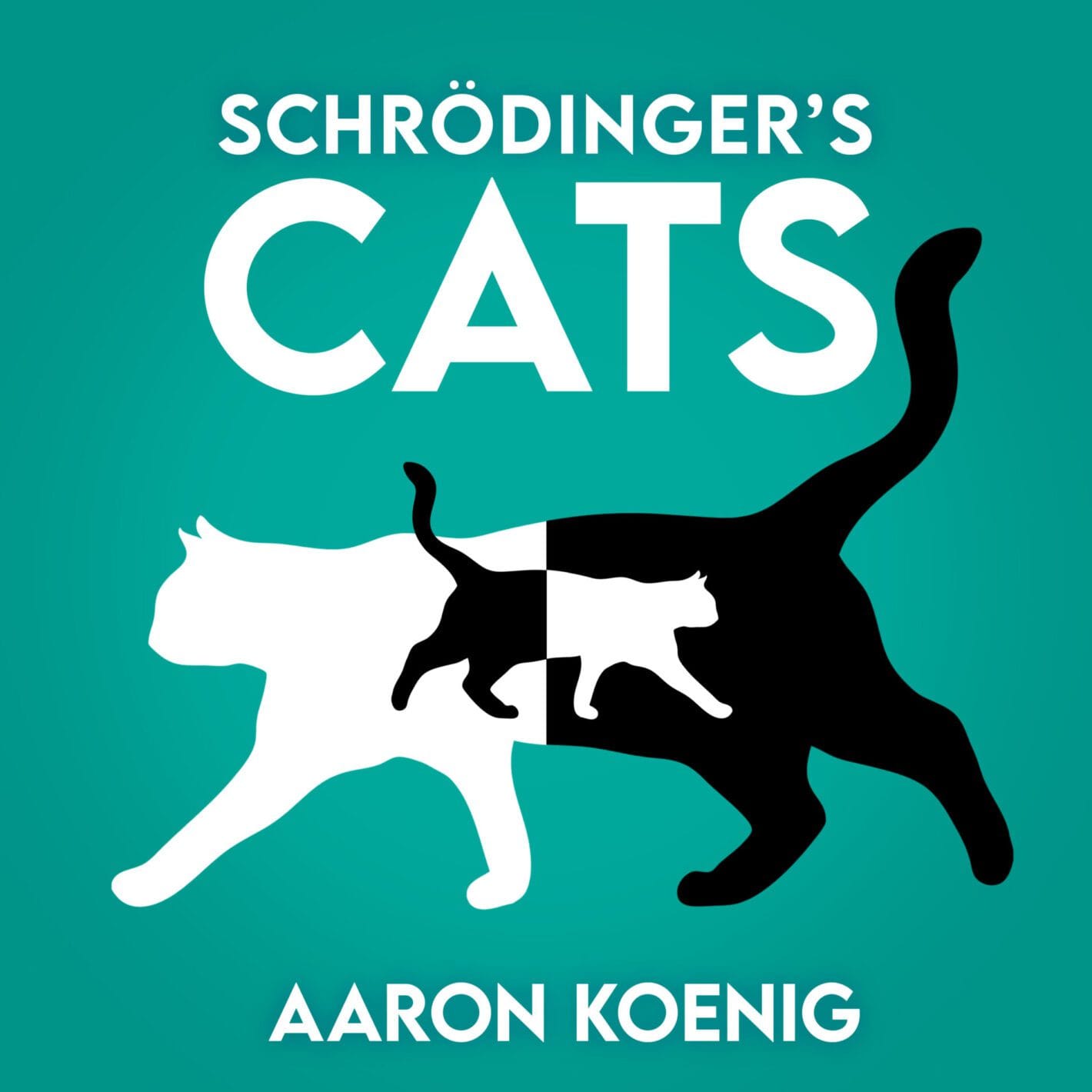 Aaron Koenig lança “Schrödinger’s Cats”, a primeira canção de amor sobre física quântica 1 prod_track-files_1595775_album_cover_Aaron-Koenig-schrdingers-cats-aaron-koenig-album_cover