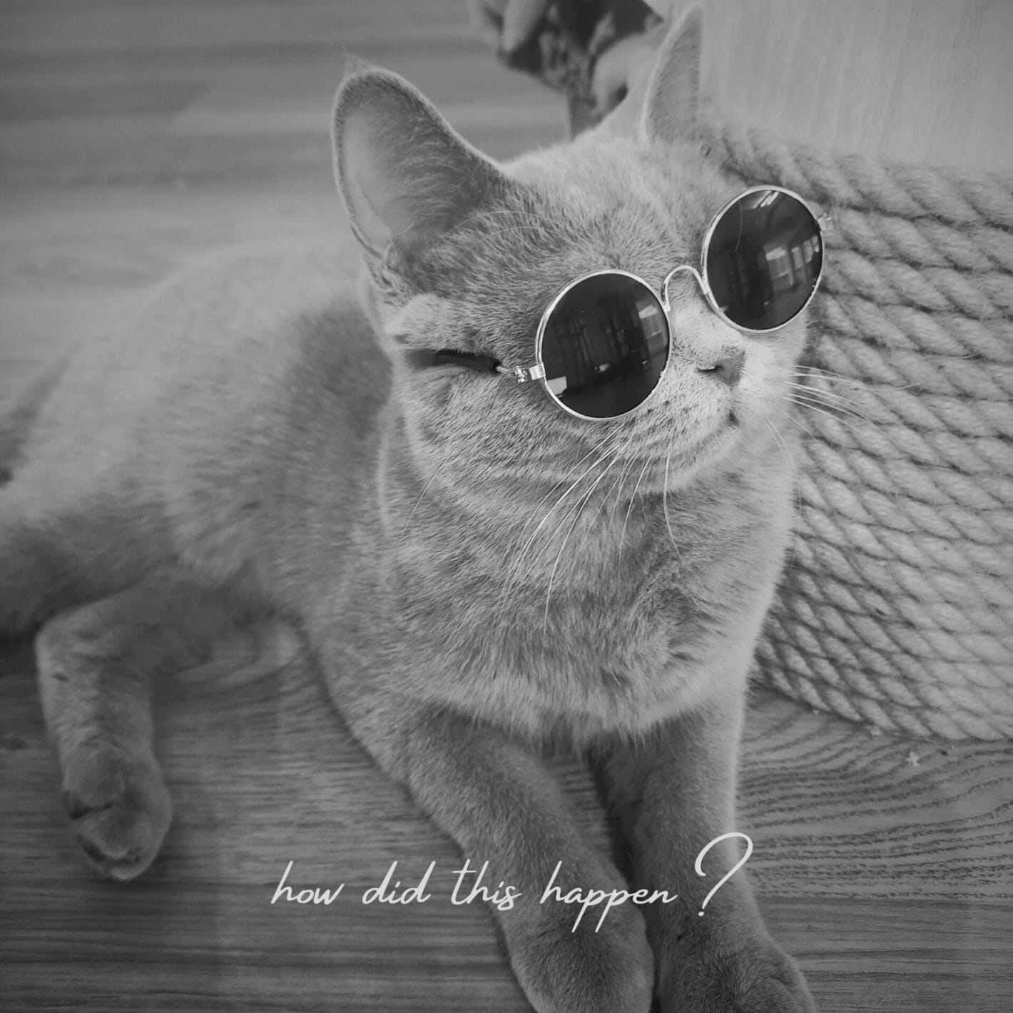 prod_track-files_1568841_album_cover_Kiey-how-did-this-happen-album_cover