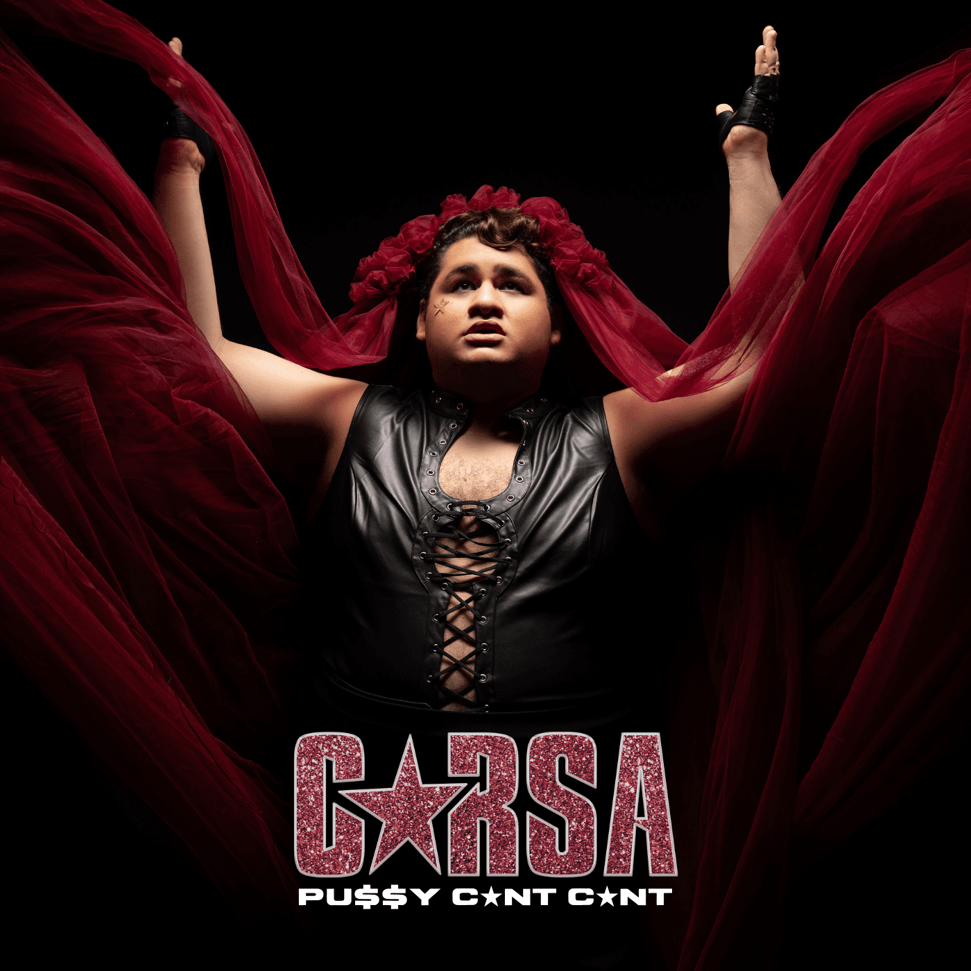 CARSA faz sua estreia oficial na música com o lançamento de seu primeiro single, “PUSSY CUNT CUNT” 1 prod_track-files_1655114_album_cover_CARSA-puy-cunt-cunt-album_cover