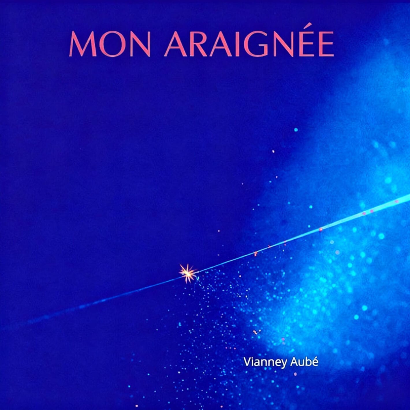 Vianney Aubé transforma histórias e emoções em canções marcadas pela sensibilidade 1 prod_track-files_1806988_album_cover_Vianney-Aub-mon-araigne-album_cover