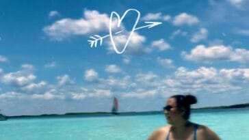 prod_track-files_1839821_album_cover_VIVI-AIR-airvivimusic-amour-dt-album_cover
